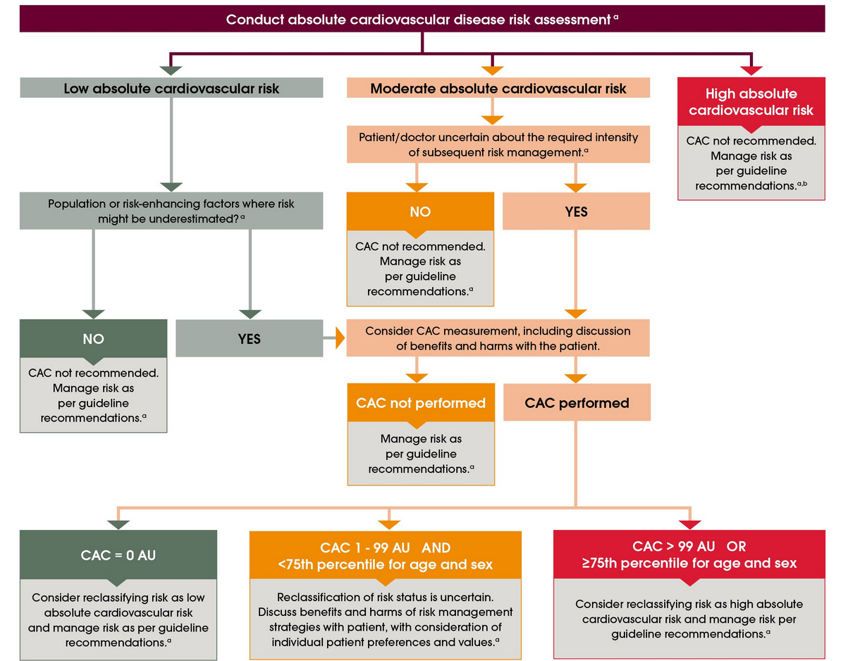 High Risk Acb ACS Investigations – MyNotes
